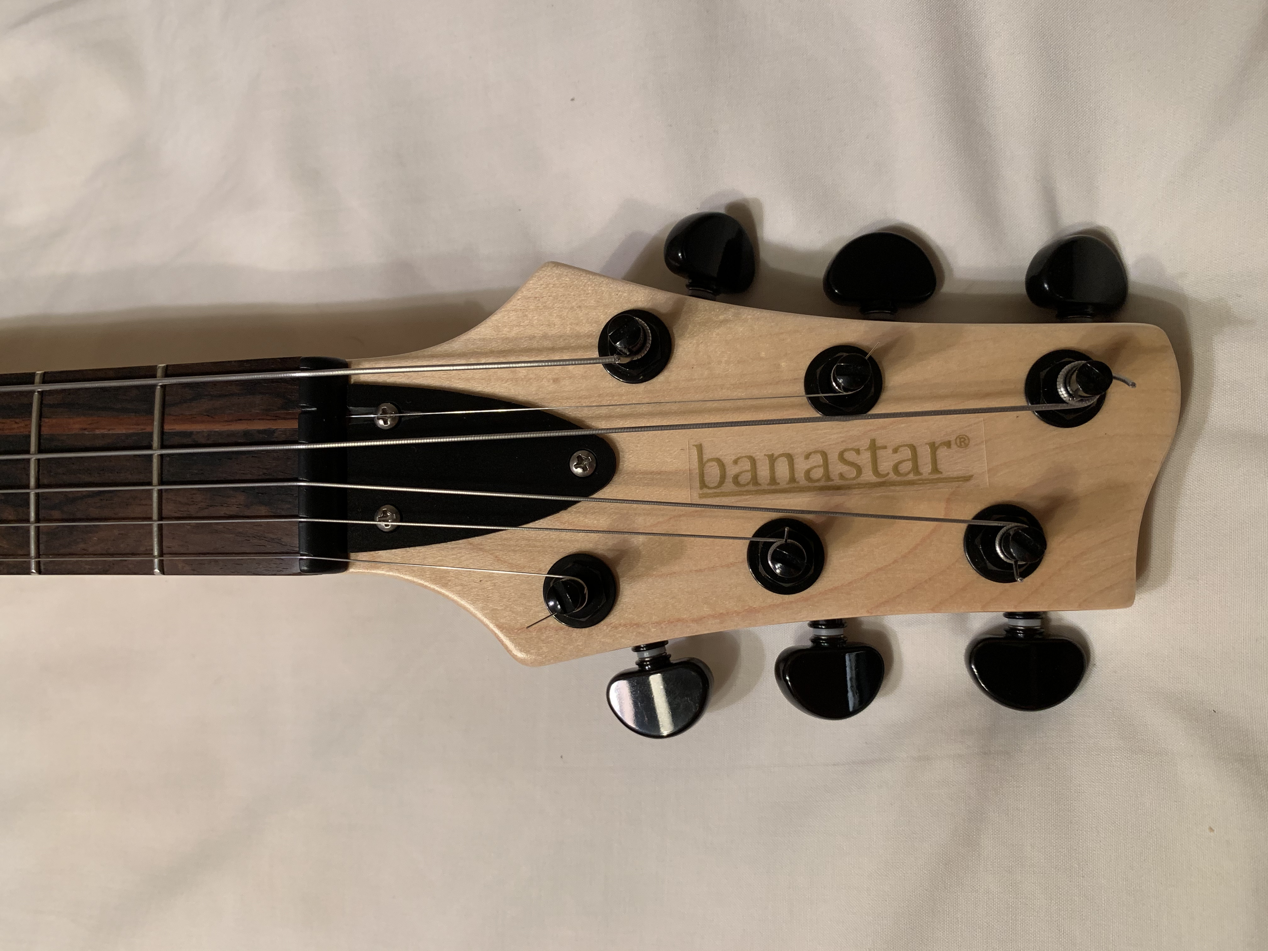 photo of banastar® stringed musical instrument